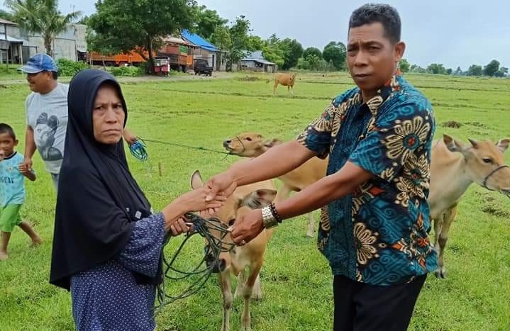 Kades Banggae saat penyerahan sapi bantuan ke warga