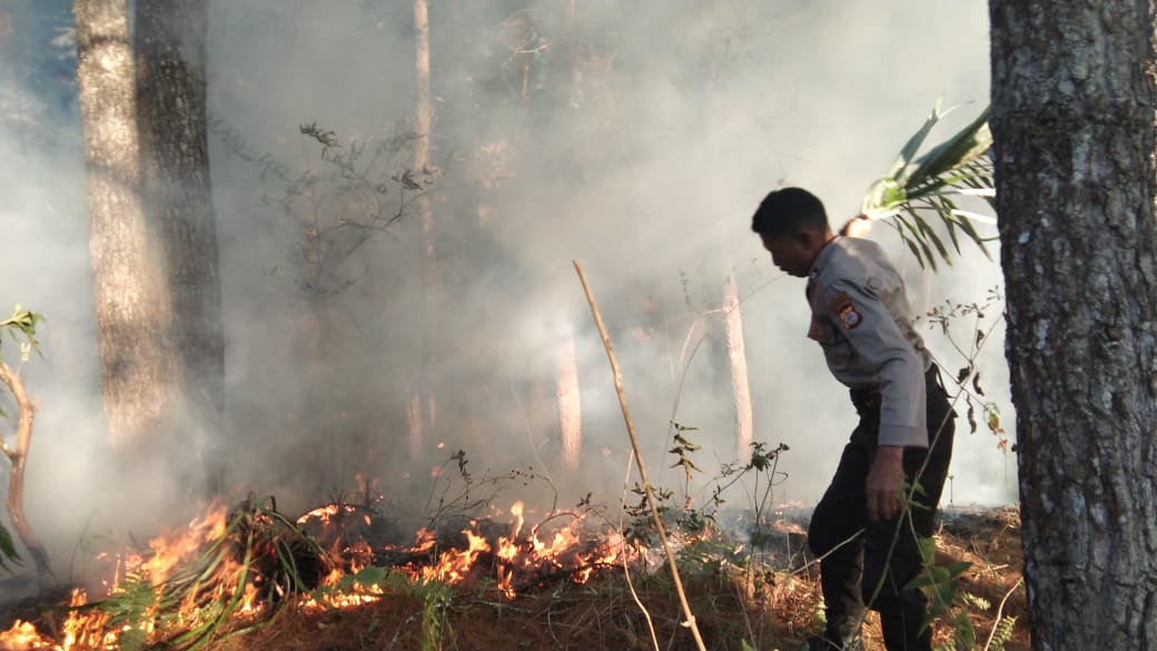 Polsek Mangkendek Bersama Warga Padamkan Kebakaran di Buntu Datu