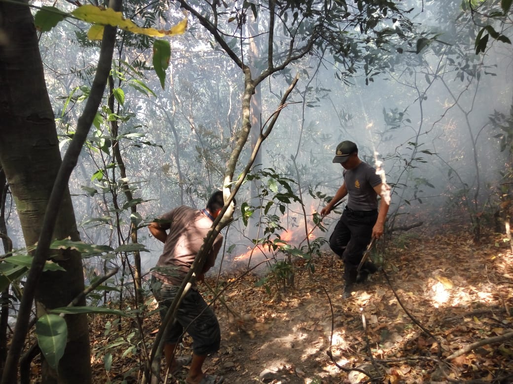 Aksi Kapolsek Tondong Tallasa Pangkep Turun Tangan Padamkan Karhutla