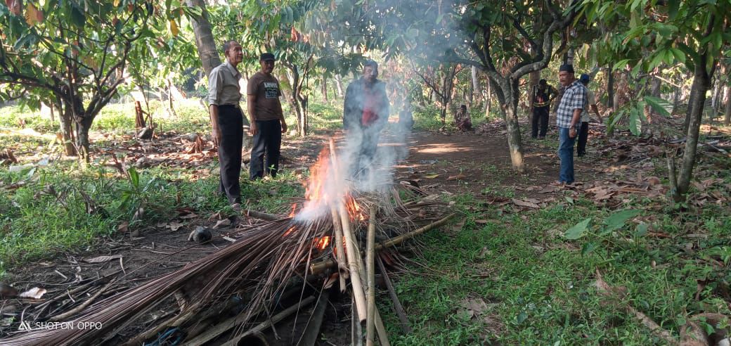 Polres Pinrang Temukan Arena Judi Sabung Ayam, Dibongkar Lalu Dibakar