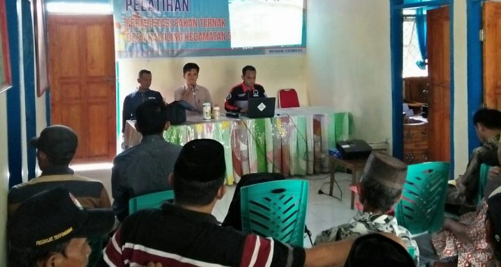 Pelatihan Fermentasi Pakan Ternak di Desa Kaloling, Sinjai