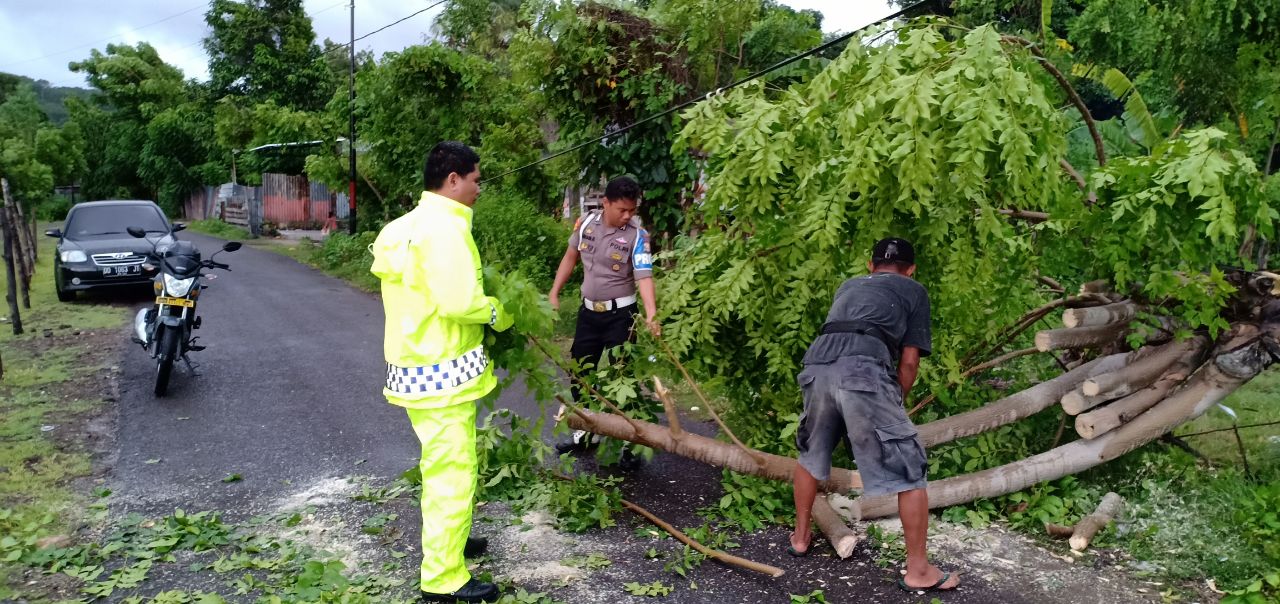 Personel Polres Barru bersama warga bersihkan pohon tumbang 