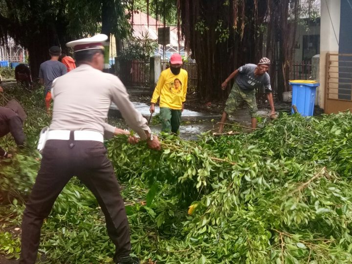 Personil Sat Lantas Polres Parepare Bantu Warga Evakuasi Pohon Tumbang