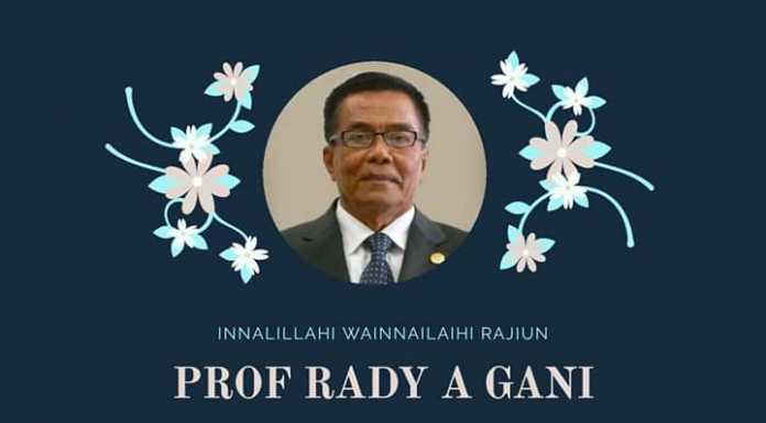 Prof Radi A Gani