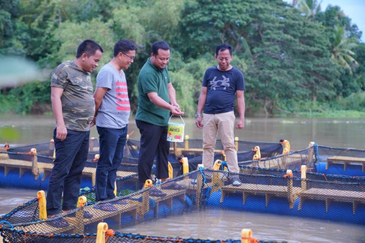 Wagub Sulsel, Andi Sudirman Sulaiman saat dilokasi pilot project Keramba Jaring di Desa Uloe