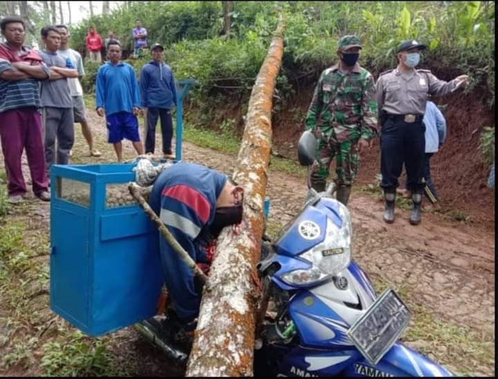 Pedagang Pentol Tewas Tertimpa Pohon, Kepala Terpisah dari Badan