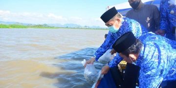 Tambah Stok Ikan di Danau Sidenreng, Bupati Sidrap Tebar 80 Ribu Benih Ikan