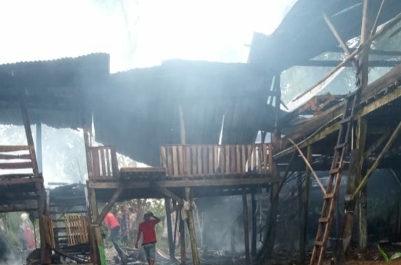 2 Kandang Ayam di Bulukumba Berkapasitas 4,5 Juta Ekor Terbakar, Kerugian Rp200 Juta