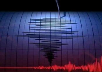 Selayar Diguncang Gempa Magnitudo 5,2