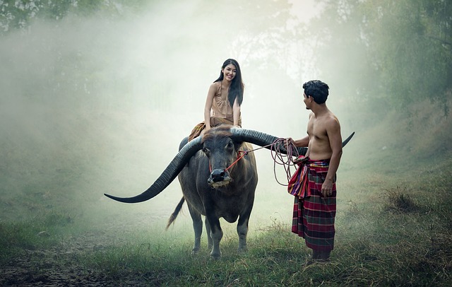 ilustrasi (foto: oleh Sasin Tipchai dari Pixabay)