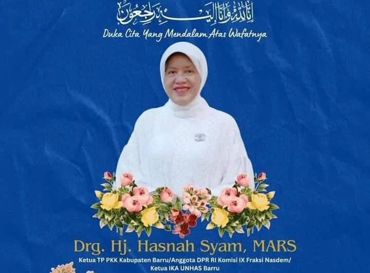 Drg. Hj. Hasnah Syam meninggal dunia (foto: dok, istimewa)