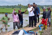 Presiden Joko Widodo atau Jokowi temui petani di tengah sawah di Desa Jaling, Kabupaten Bone, Sulsel, Kamis, 4 Juli 2024. (Foto: Muchlis Jr - Biro Pers Sekretariat Presiden)