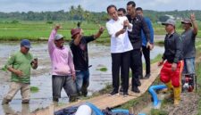 Presiden Joko Widodo atau Jokowi temui petani di tengah sawah di Desa Jaling, Kabupaten Bone, Sulsel, Kamis, 4 Juli 2024. (Foto: Muchlis Jr - Biro Pers Sekretariat Presiden)