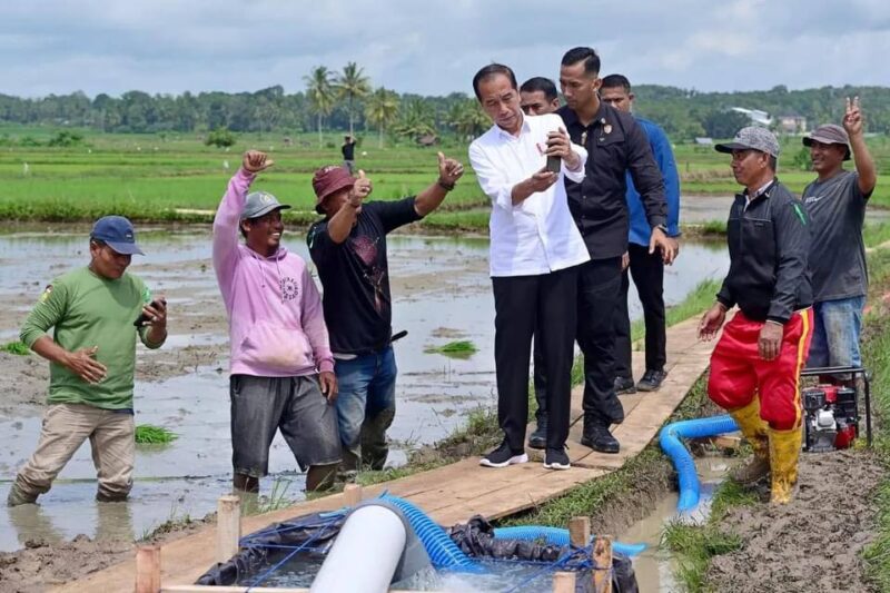 Presiden Joko Widodo atau Jokowi temui petani di tengah sawah di Desa Jaling, Kabupaten Bone, Sulsel, Kamis, 4 Juli 2024. (Foto: Muchlis Jr - Biro Pers Sekretariat Presiden)