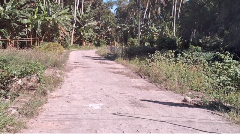 Jalan utama untuk masuk ke area tambang pasir di Mattirobulu terlihat sepi, tidak ada lagi dump truk yang ulang alik mengangkut material pasir, Jumat 5 Juli 2024. (Foto: beritasulsel.com)