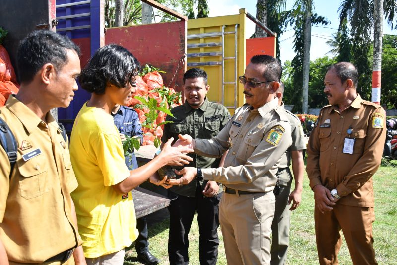 PJ Bupati Sinjai, Andi Jefrianto Asapa saat Menyerahkan Secara Simbolis Bantuan Bibit Kopi Arabika untuk Petani Sinjai 