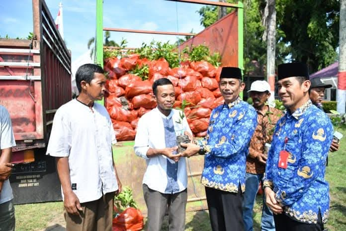 PJ. Bupati Sinjai, Andi Jefrianto Asapa saat menyerahkan Bantuan Bibit Cengkeh ke Petani.