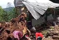 Pohon tumbang timpa pondok di Soppeng, 9 korban tewas. (Foto: tangkapan layar)