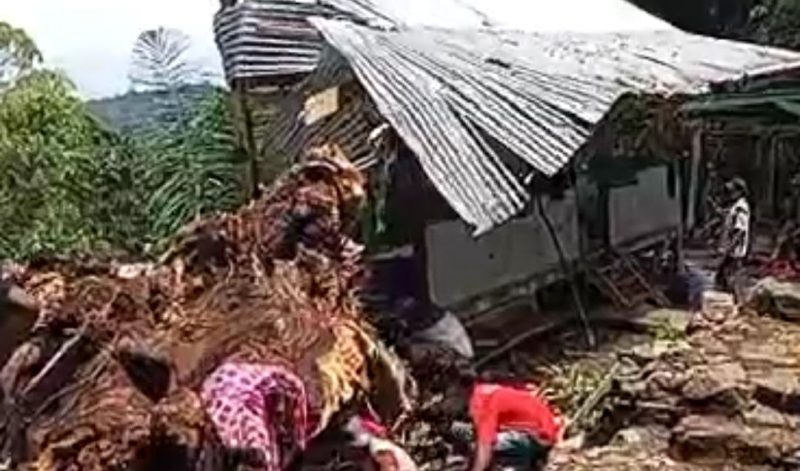 Pohon tumbang timpa pondok di Soppeng, 9 korban tewas. (Foto: tangkapan layar)