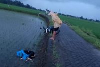 Mayat korban tergeletak di tepi sawah (foto: istimewa)