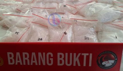 Polres Sidrap Tangkap 4,6 Kg Sabu dan 4.200 Butir Ekstasi dalam Perut Ikan