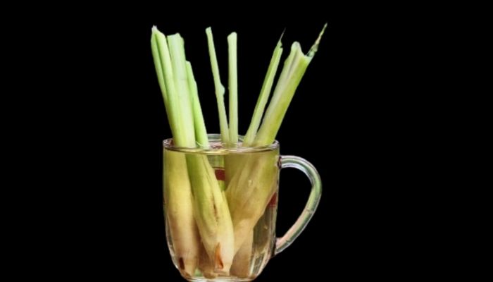 Geprek Serai Ampuh Menurunkan Hipertensi dan Kolesterol, Begini Cara Mengolahnya