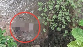 Mayat Wanita Ditemukan Hangus di Bawah Jembatan Baubau Diduga Korban Pembunuhan