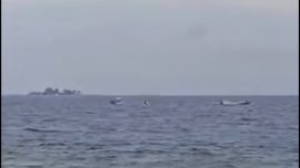 Perahu Terbalik di Perairan Pangkep, 3 Tewas Termasuk Camat Liukang Tupabbiring