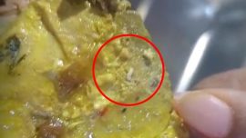 Siswa SDN 166 Pinrang Temukan Ulat di Menu MBG, Pengelola Dapur Diperiksa