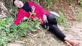 Ibu Rumah Tangga di Sinjai Dipatuk Ular Cobra Saat Antar Anak Mengaji