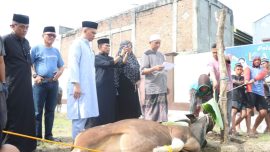 Polres Sidrap Siapkan 11 Ekor Sapi Kurban untuk Idul Adha 1447 H