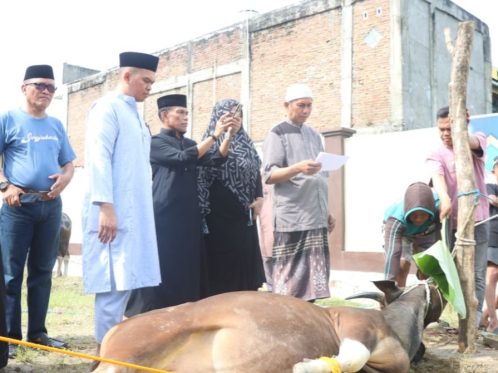 Polres Sidrap Siapkan 11 Ekor Sapi Kurban untuk Idul Adha 1447 H