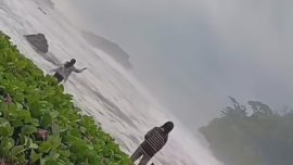 Liburan Berujung Maut, Wisatawan Tewas di Pantai Madasari Saat Berfoto