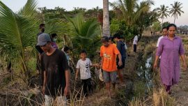 Wanita di Luwu Timur Dibunuh di Tengah Sawah, Polisi Ikuti Jejak Kaki Pelaku Hingga ke Rumahnya
