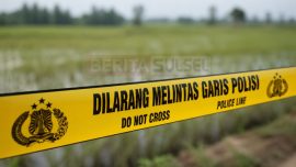 Terungkap! Wanita di Luwu Timur Dibunuh di Tengah Sawah, Pelaku Sudah Mengintainya Sejak Lama