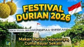 Festival Durian Enrekang 2026 Berakhir Ricuh, Pengunjung Ngamuk Kehabisan Stok dan Panitia Diduga Kabur