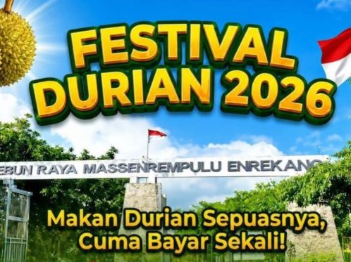 Festival Durian Enrekang 2026 Berakhir Ricuh, Pengunjung Ngamuk Kehabisan Stok dan Panitia Diduga Kabur